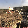 09_00-nest.jpg