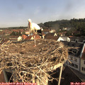 09_10-nest.jpg