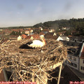 09_15-nest.jpg