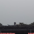 09_30-mast.jpg