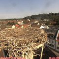 09_55-nest.jpg