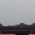 10_10-mast.jpg