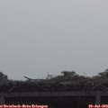 10_20-mast.jpg