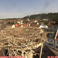 10_20-nest.jpg