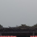 10_25-mast.jpg
