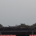 10_30-mast.jpg