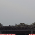 10_35-mast.jpg