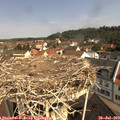 10_35-nest.jpg
