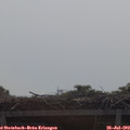 10_40-mast.jpg