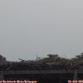 10_45-mast.jpg