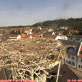 10_55-nest.jpg