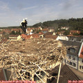 11_15-nest.jpg