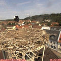 11_20-nest.jpg