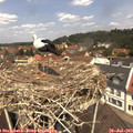 12_15-nest.jpg
