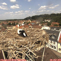 12_20-nest.jpg