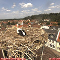 12_25-nest.jpg