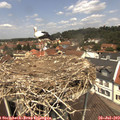 12_30-nest.jpg