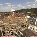 12_35-nest.jpg