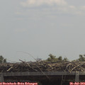 12_40-mast.jpg