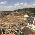 12_40-nest.jpg