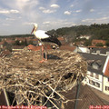 13_10-nest.jpg