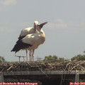 13_40-mast.jpg