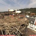 13_55-nest.jpg