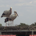 14_00-mast.jpg