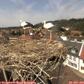 14_05-nest.jpg