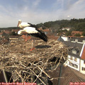 14_10-nest.jpg
