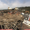 14_25-nest.jpg