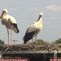 14_35-mast.jpg