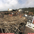 14_45-nest.jpg