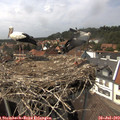 15_00-nest.jpg