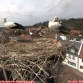 15_05-nest.jpg