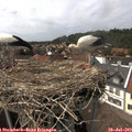 15_10-nest.jpg