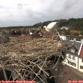 15_15-nest.jpg