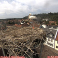 15_25-nest.jpg
