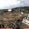 15_35-nest.jpg