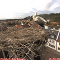 15_40-nest.jpg