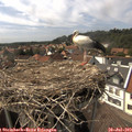 15_45-nest.jpg