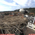 15_55-nest.jpg