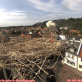 16_05-nest.jpg