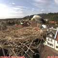 16_10-nest.jpg