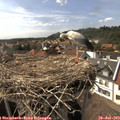16_15-nest.jpg