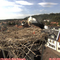 16_25-nest.jpg