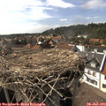 16_30-nest.jpg