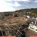 16_35-nest.jpg