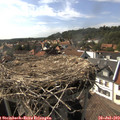 16_40-nest.jpg