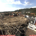 16_45-nest.jpg